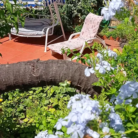 La Terrazza Ischia